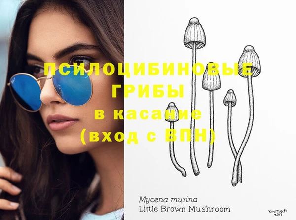 молекула духа Алексеевка