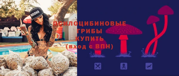 молекула духа Алексеевка